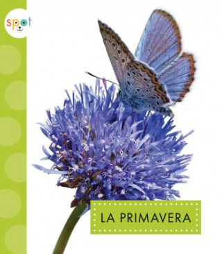 La Primavera