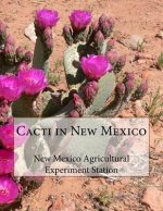 Cacti in New Mexico
