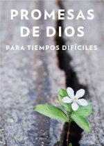 Promesas de Dios Para Tiempos Difíciles / God's Promises When You Are Hurting