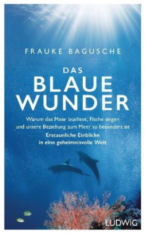 Das blaue Wunder