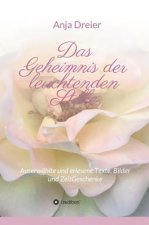 Das Geheimnis der leuchtenden Stille