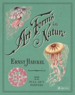 Ernst Haeckel: Art Forms in Nature: 22 Pull-Out Posters