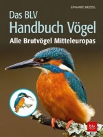 Das BLV Handbuch Vögel