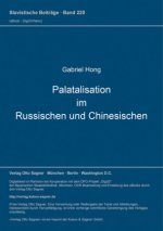 Palatalisation im Russischen und Chinesischen