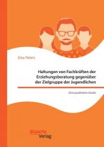 Haltungen von Fachkraften der Erziehungsberatung gegenuber der Zielgruppe der Jugendlichen - Eine qualitative Studie