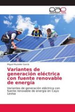 Variantes de generacion electrica con fuente renovable de energia