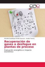 Recuperacion de gases a desfogue en plantas de proceso
