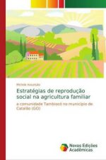 Estrategias de reproducao social na agricultura familiar