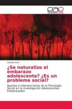 ?Se naturalizo el embarazo adolescente? ?Es un problema social?