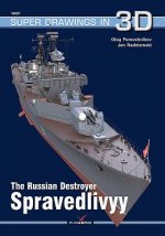 Russian Destroyer Spravedlivyy