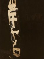 Gaze of Things: Japanese Photography in the Context of Provoke
