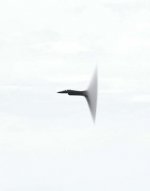 Andrea Galvani