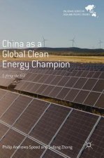 China as a Global Clean Energy Champion