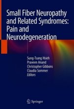 Small Fiber Neuropathy and Related Syndromes: Pain and Neurodegeneration