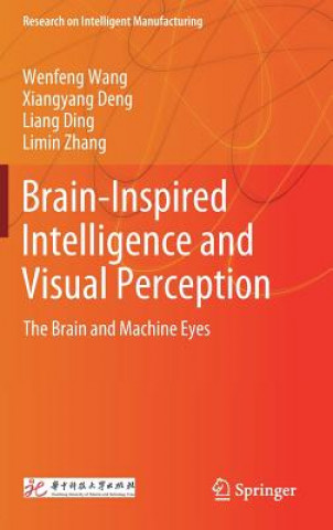Brain-Inspired Intelligence and Visual Perception