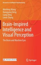 Brain-Inspired Intelligence and Visual Perception