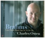 Brahms:Late Piano Music