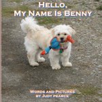 Hello, My Name Is Benny