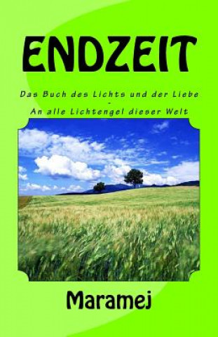 Endzeit - Das Buch Des Lichts Und Der Liebe - An Alle Lichtengel Dieser Welt