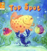 Reading Gems: Top Spot (Level 2)