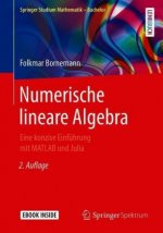 Numerische lineare Algebra, m. 1 Buch, m. 1 E-Book
