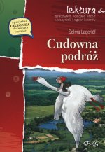 Cudowna podróż