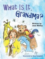 What Is It, Grandma?