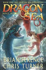 Dragon Sea: Mage Reborn