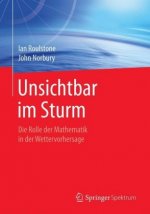 Unsichtbar im Sturm