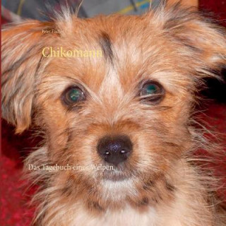 Chikomann