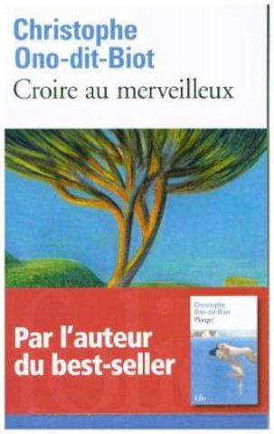 Croire au merveilleux