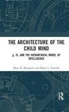 Architecture of the Child Mind