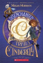 Disenchanted: The Trials of Cinderella (Tyme #2), 2
