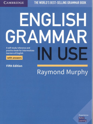 English Grammar in Use 5th edition