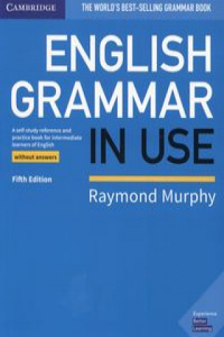 English Grammar in Use Book without Answers