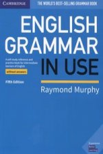 English Grammar in Use Book without Answers