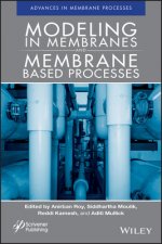 Modeling in Membranes and Membrane-Based Processes  - Industrial Scale Separations