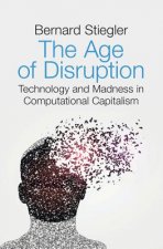 Age of Disruption - Technology and Madness in Computational Capitalism