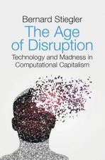 Age of Disruption - Technology and Madness in Computational Capitalism