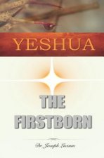 Yeshua the Firstborn