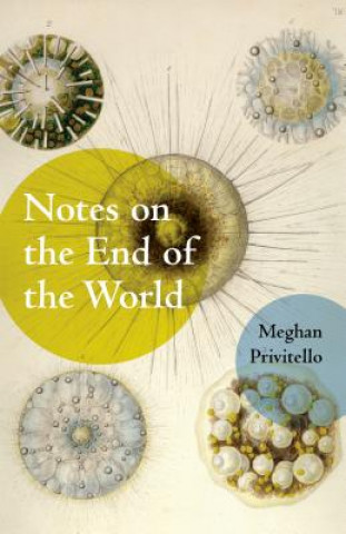 Notes on the End of the World