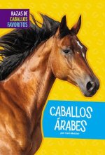 Caballos Arabes