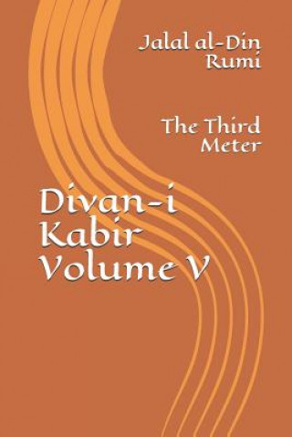 Divan-i Kabir, Volume V: The Third Meter