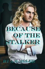 Because of the Stalker