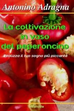 La Coltivazione in Vaso del Peperoncino: Realizza Il Tuo Sogno Pi