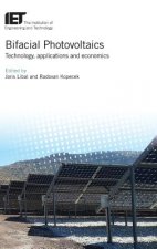 Bifacial Photovoltaics: Technology, Applications and Economics