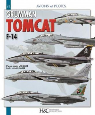 Grumman F-14 Tomcat