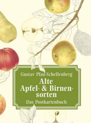 Alte Apfel- & Birnensorten - Das Postkartenbuch