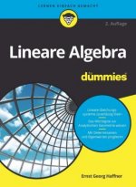 Lineare Algebra fur Dummies 2e