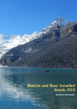 BlueCat and Buzz travelled